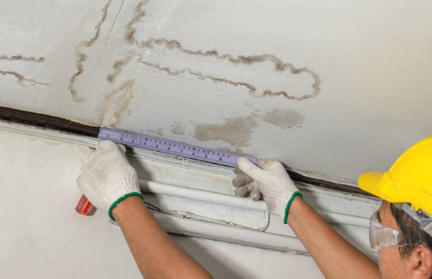 Reliable Water Removal contractor in Holton, MI by Water Damage Irwin